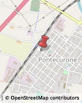 Autotrasporti Pontecurone,15055Alessandria