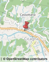 Autotrasporti Cicagna,16044Genova