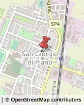 Aziende Agricole San Giorgio di Piano,40016Bologna