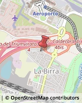 Trasporti Internazionali Bologna,40132Bologna