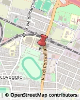 Falegnami Bologna,40129Bologna