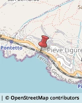 Parrucchieri Pieve Ligure,16031Genova