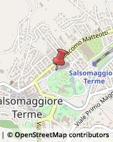 Aziende Sanitarie Locali (ASL) Salsomaggiore Terme,43039Parma