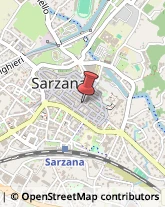 Avvocati Sarzana,19038La Spezia