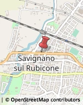 Agenzie Immobiliari Savignano sul Rubicone,47039Forlì-Cesena