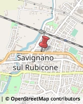 Prosciuttifici e Salumifici - Vendita Savignano sul Rubicone,47039Forlì-Cesena