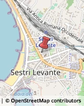 Agenzie Investigative Sestri Levante,16039Genova