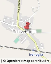 Tabaccherie Schivenoglia,46020Mantova