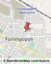 Franchising - Consulenza e Servizi Forlimpopoli,47034Forlì-Cesena