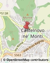 Alimentari Castelnovo Ne' Monti,42035Reggio nell'Emilia