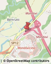 Trasporti Aerei Mondovì,12084Cuneo