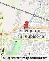 Spezie Savignano sul Rubicone,47039Forlì-Cesena