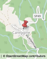 Macellerie Careggine,55030Lucca