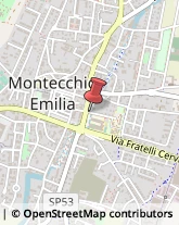 Ortofrutticoltura Montecchio Emilia,42027Reggio nell'Emilia