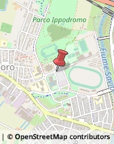 Equitazione - Impianti e Corsi Cesena,47023Forlì-Cesena
