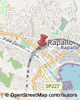 Arredamento - Vendita al Dettaglio Rapallo,16035Genova