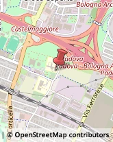 Case di Riposo e Istituti di Ricovero per Anziani,40128Bologna