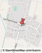 Farmacie Trecasali,43010Parma