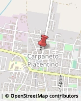 ,29013Piacenza