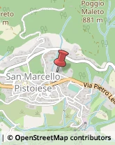 Tour Operator e Agenzia di Viaggi San Marcello Pistoiese,51028Pistoia