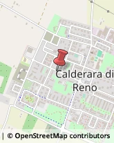 Consulenza alle Imprese e agli Enti Pubblici Calderara di Reno,40012Bologna