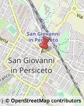 Bulbi e Sementi San Giovanni in Persiceto,40017Bologna