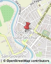 Assicurazioni Concordia sulla Secchia,41033Modena