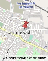 Astrologia, Occultismo e Cartochiromanzia Forlimpopoli,47034Forlì-Cesena