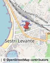 ,16039Genova