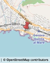 Piante e Fiori - Dettaglio Genova,16166Genova
