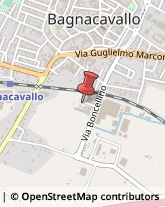 Aceto Bagnacavallo,48012Ravenna