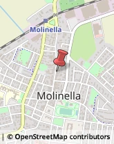 Macellerie Molinella,40062Bologna