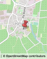 Aziende Agricole Lagnasco,12030Cuneo