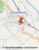 Alimentari Camporgiano,55031Lucca