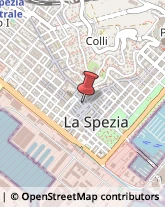 Bulbi e Sementi La Spezia,19121La Spezia