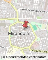 Traduttori ed Interpreti Mirandola,41037Modena