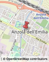 Carne - Lavorazione e Commercio Anzola dell'Emilia,40011Bologna