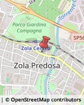 Consulenza alle Imprese e agli Enti Pubblici Zola Predosa,40069Bologna