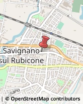 Associazioni ed Istituti di Previdenza ed Assistenza Savignano sul Rubicone,47039Forlì-Cesena