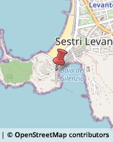 Scuole e Corsi di Lingua Sestri Levante,16039Genova