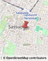 Grassi Uso Alimentare Sassuolo,41049Modena