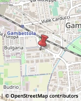 Bulbi e Sementi Gambettola,47035Forlì-Cesena