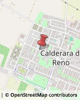 Consulenza alle Imprese e agli Enti Pubblici Calderara di Reno,40012Bologna