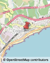 Fabbri Cogoleto,16016Genova