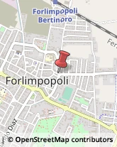 Cancelleria Forlimpopoli,47034Forlì-Cesena