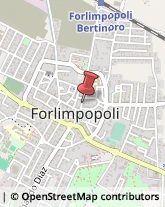 Articoli per Fumatori Forlimpopoli,47034Forlì-Cesena