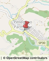 Bar e Caffetterie Pellegrino Parmense,43047Parma
