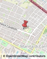 Scuole e Corsi di Lingua Carrara,54033Massa-Carrara