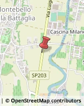 ,27054Pavia