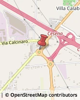 Trasporto Pubblico Cesena,47521Forlì-Cesena